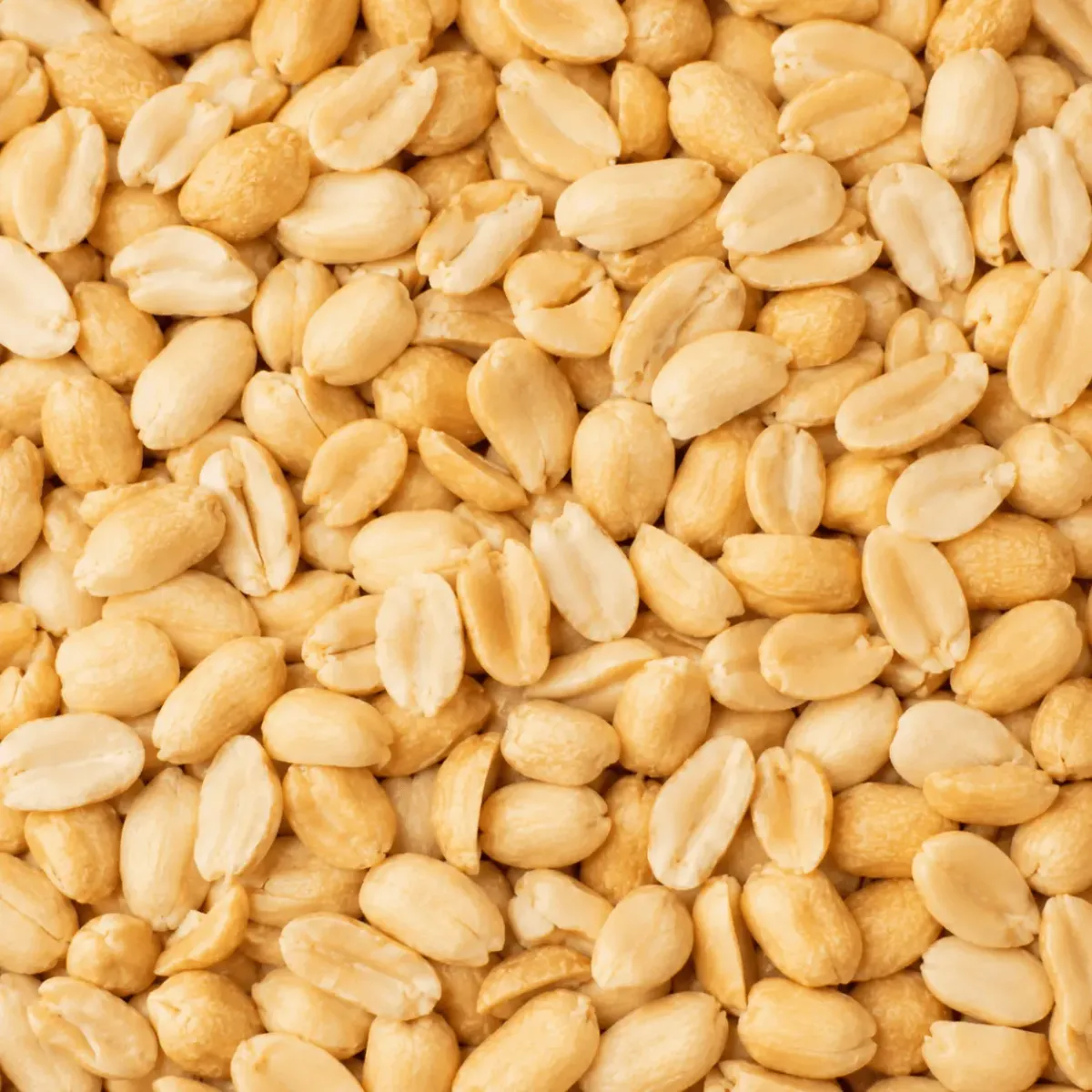 Amendoim: foto do produto