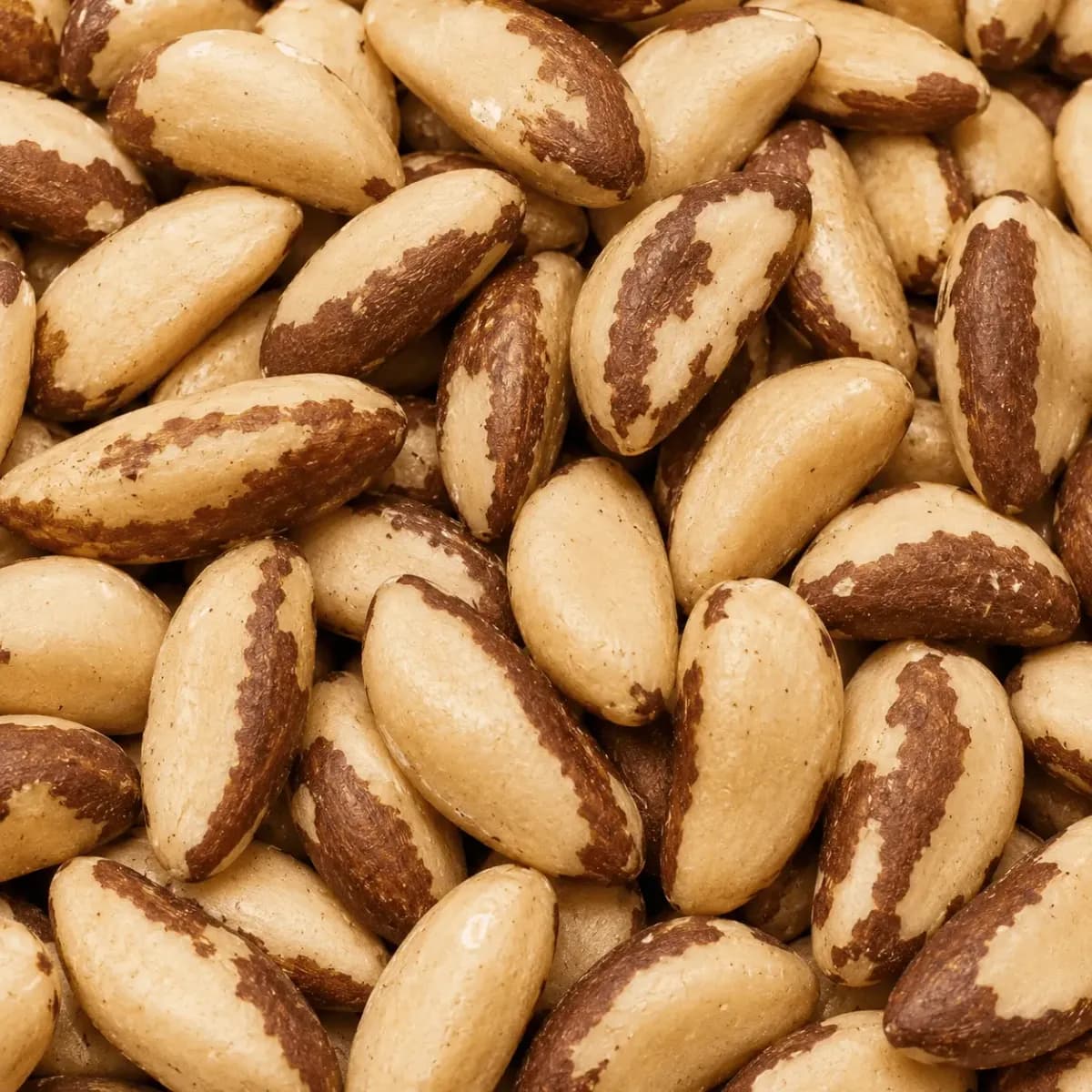 Castanha-do-pará: foto do produto